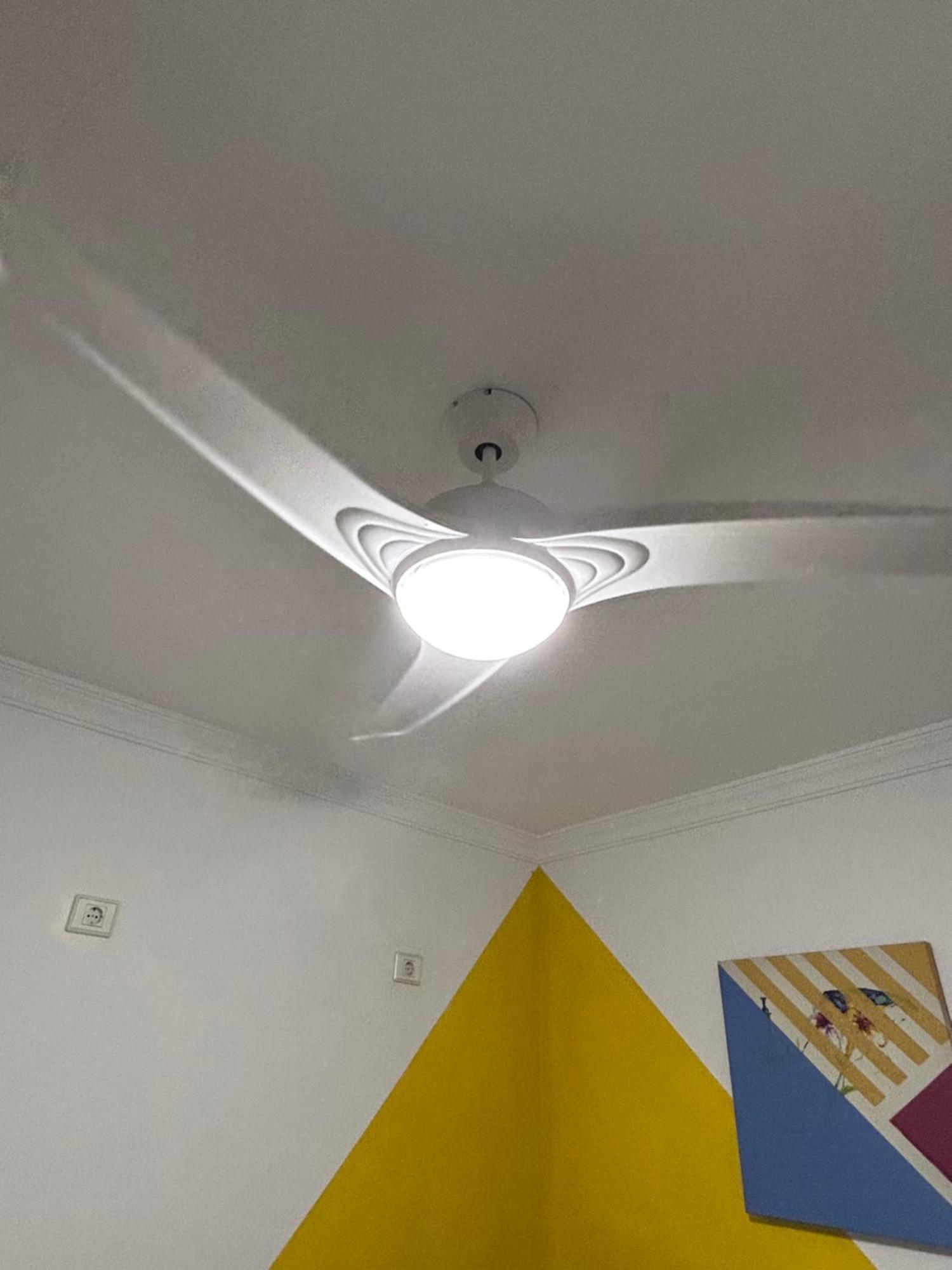 La Buganvilla Rooms 阿雷西费 外观 照片